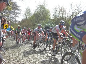Flandern-Rundfahrt 2714